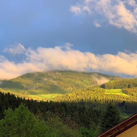 Black Forest Appartement - Brandenkopfblick Целль-ам-Хармерсбах Экстерьер фото